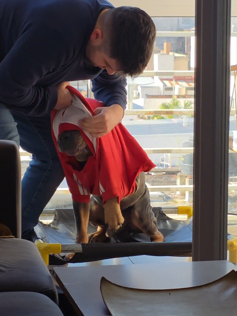 @Agus y Tarantino 💛🐶