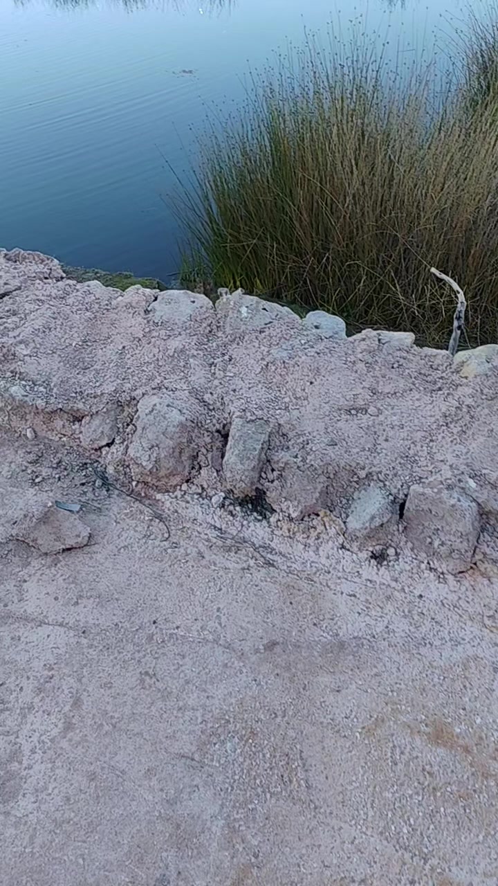 @Ateoperuano