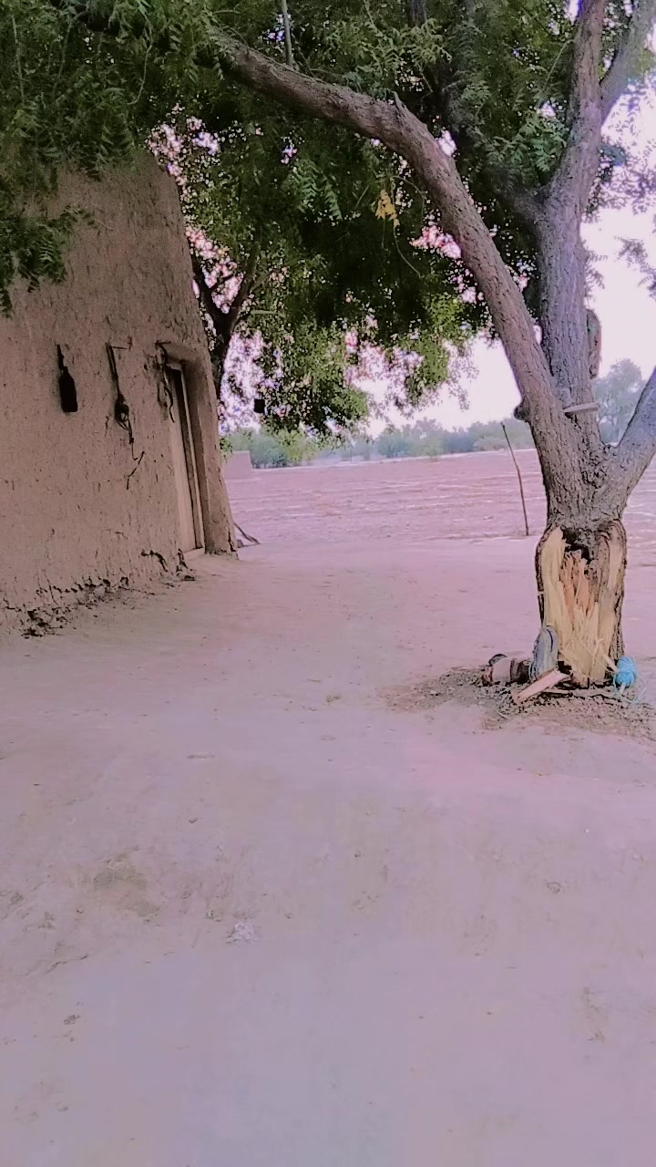@غیرتی جانان
