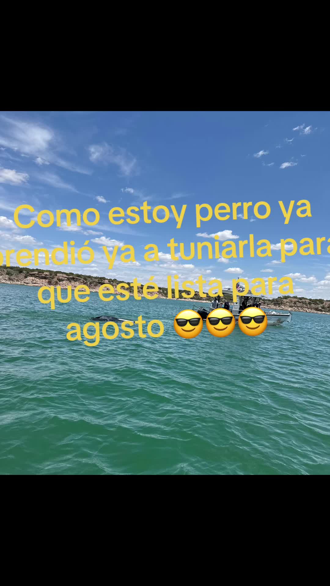 @Viejo lobox12