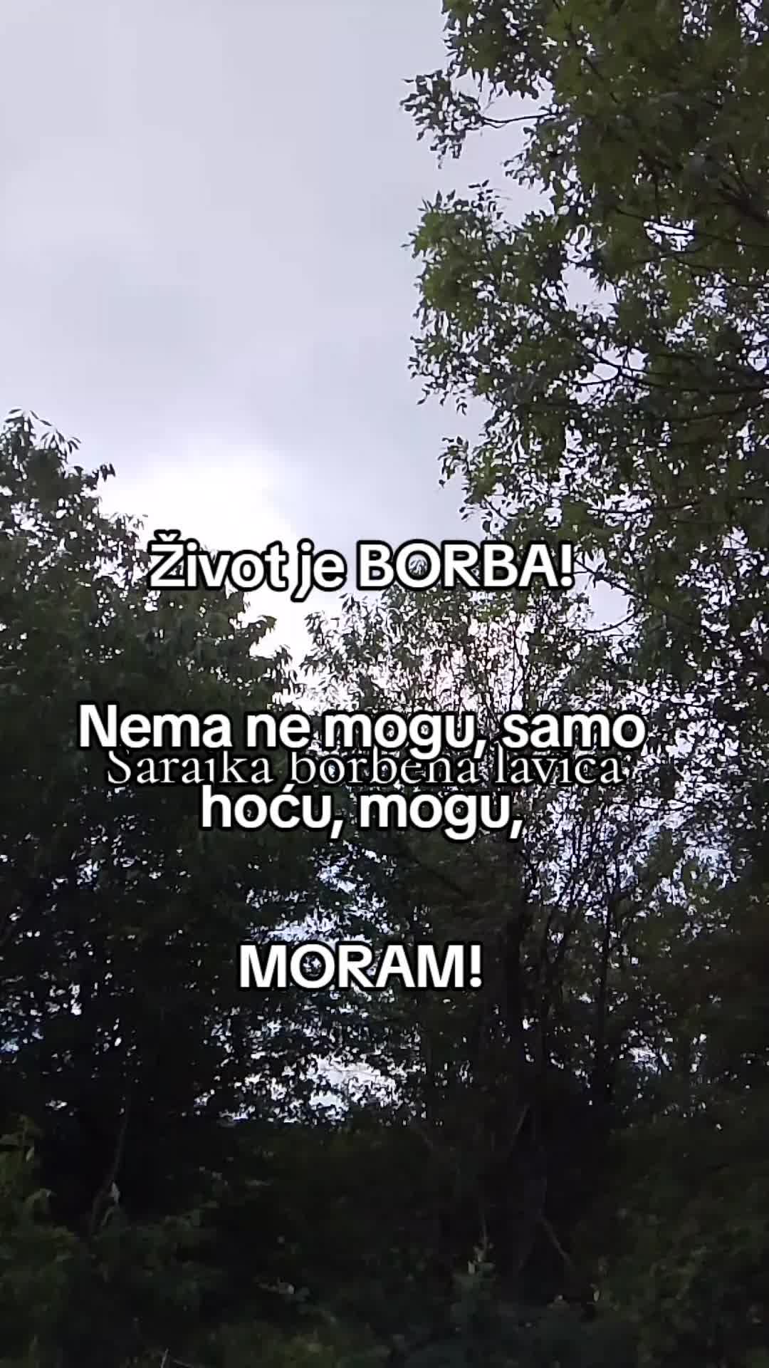 @🖤 SARAJKA BORBENA LAVICA ♥️