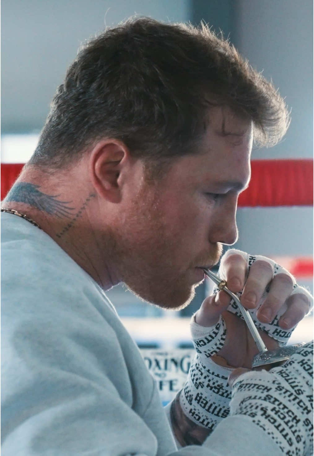 @canelo