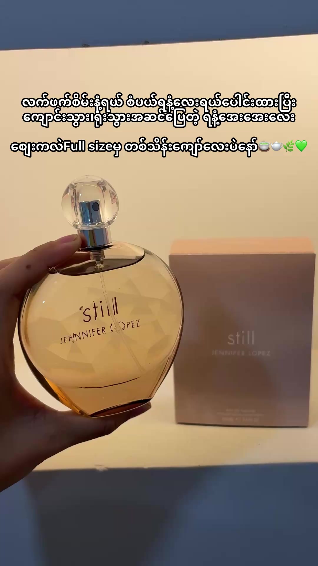 @Wisteria Perfume (Mdy)