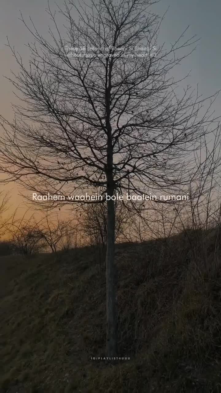 @p4u🎵