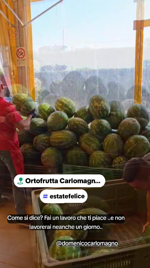 @carlomagnosalvato1