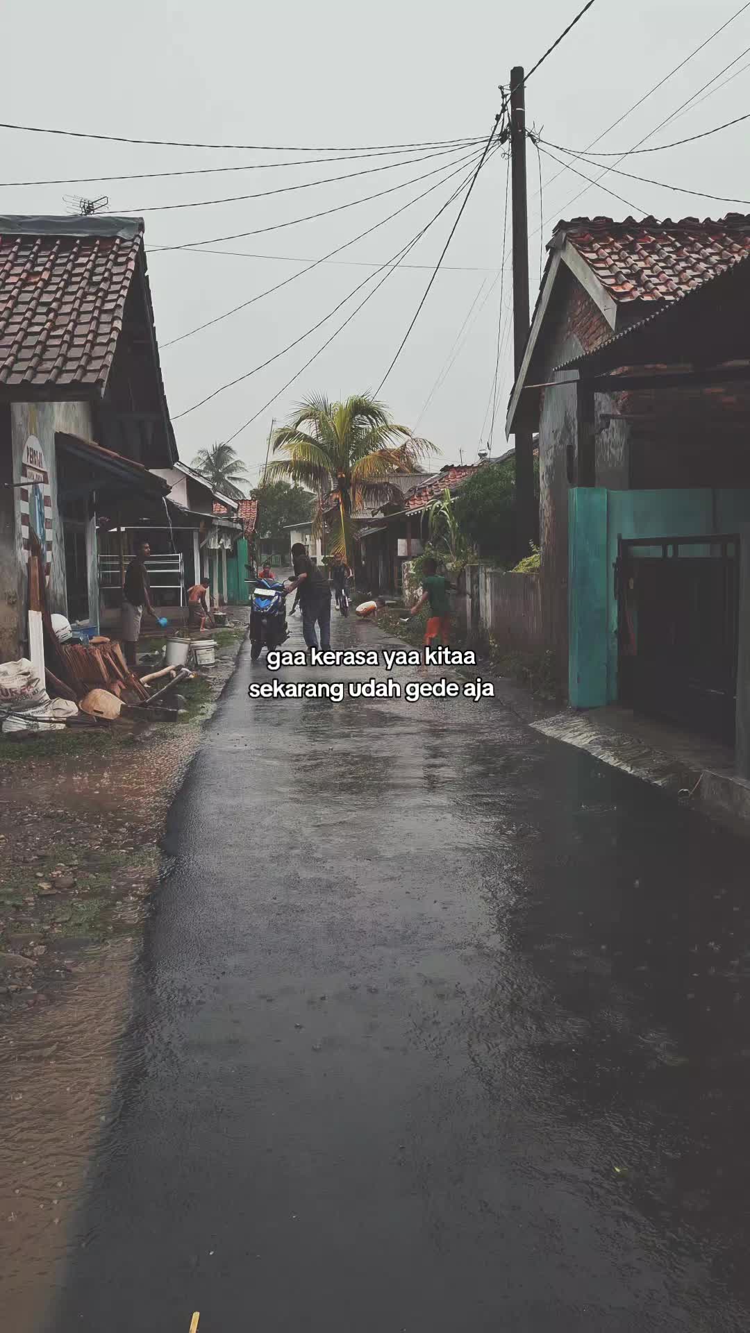 @rafafuzn