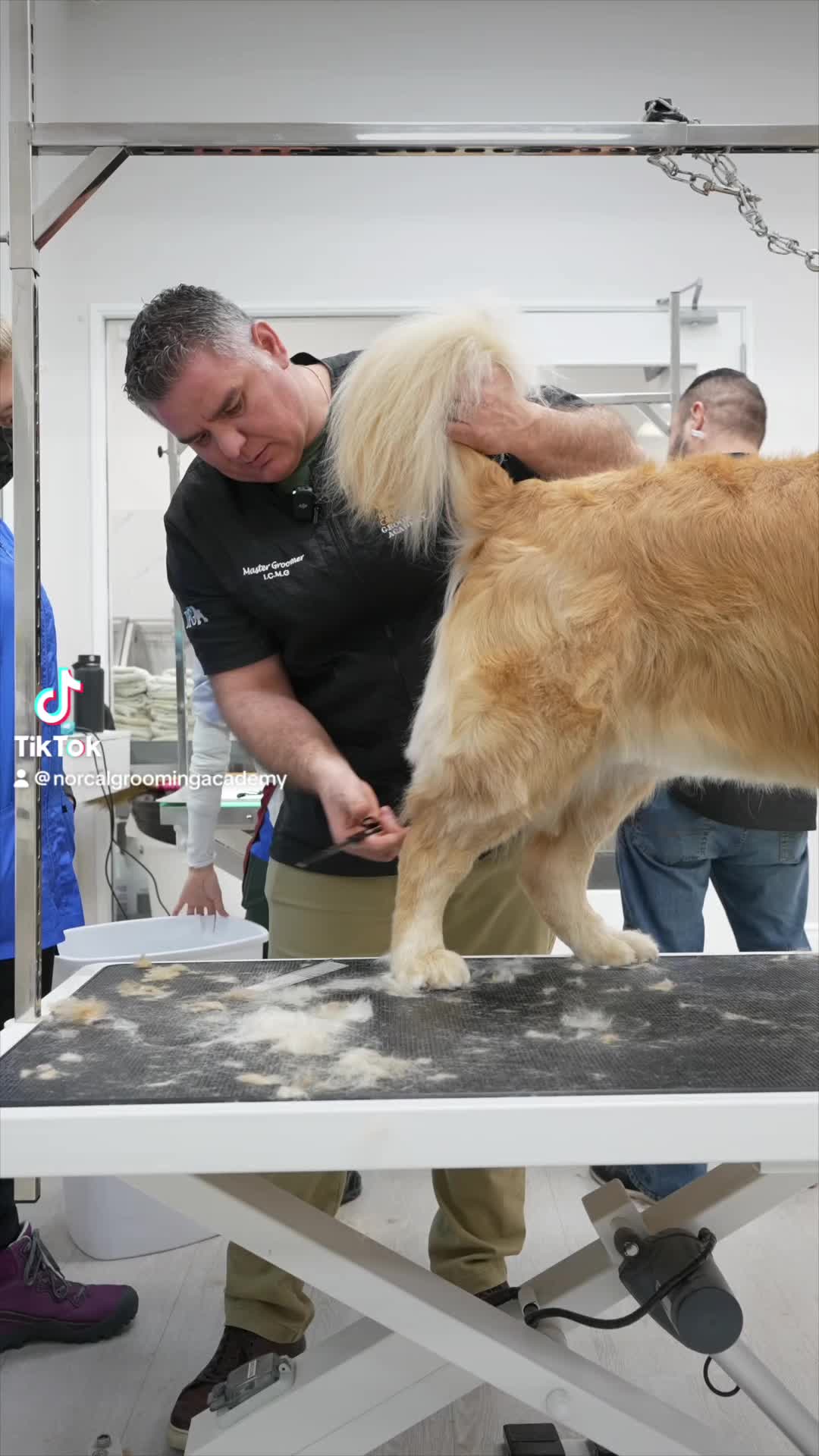 @NorCal Grooming Academy
