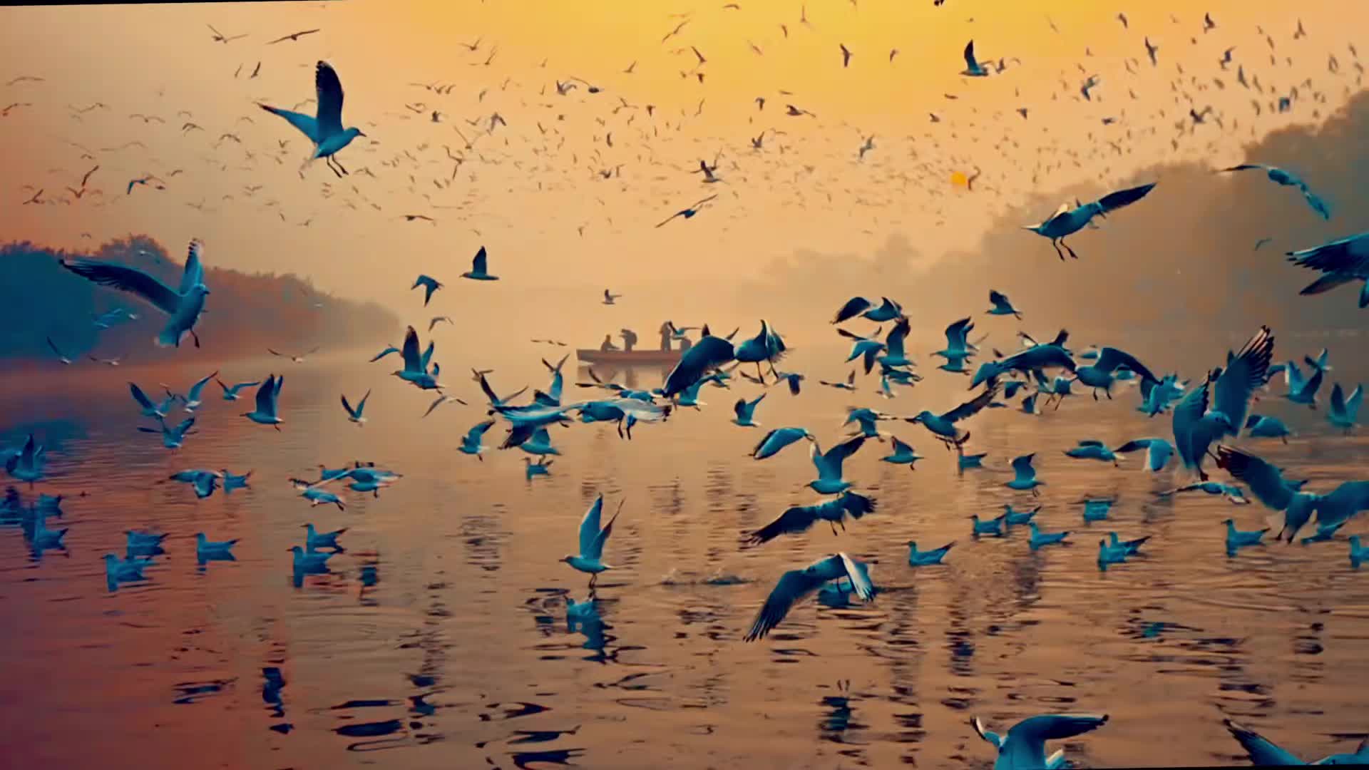 @Qahir-Aria-Official