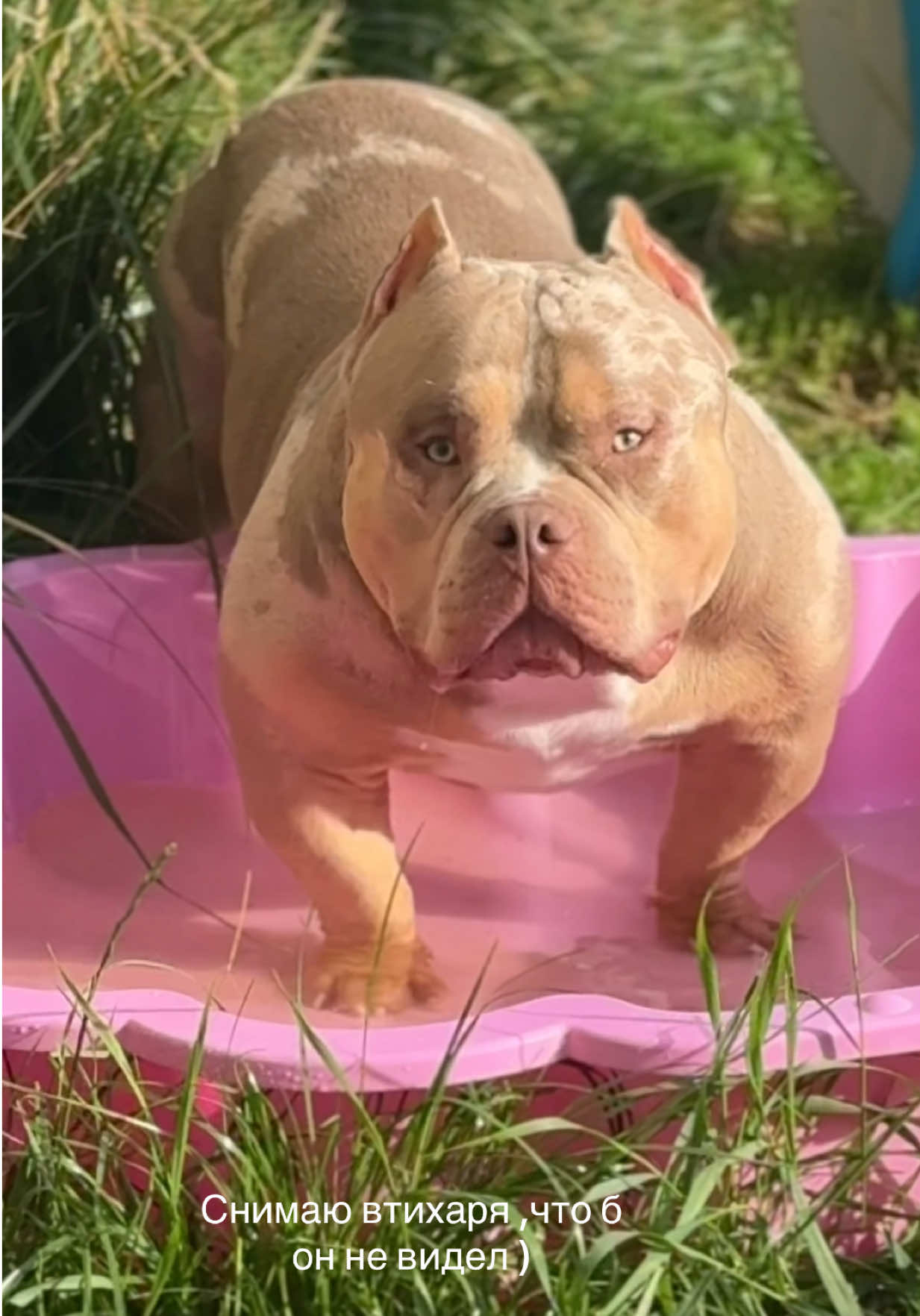 @TWO_BULLY
