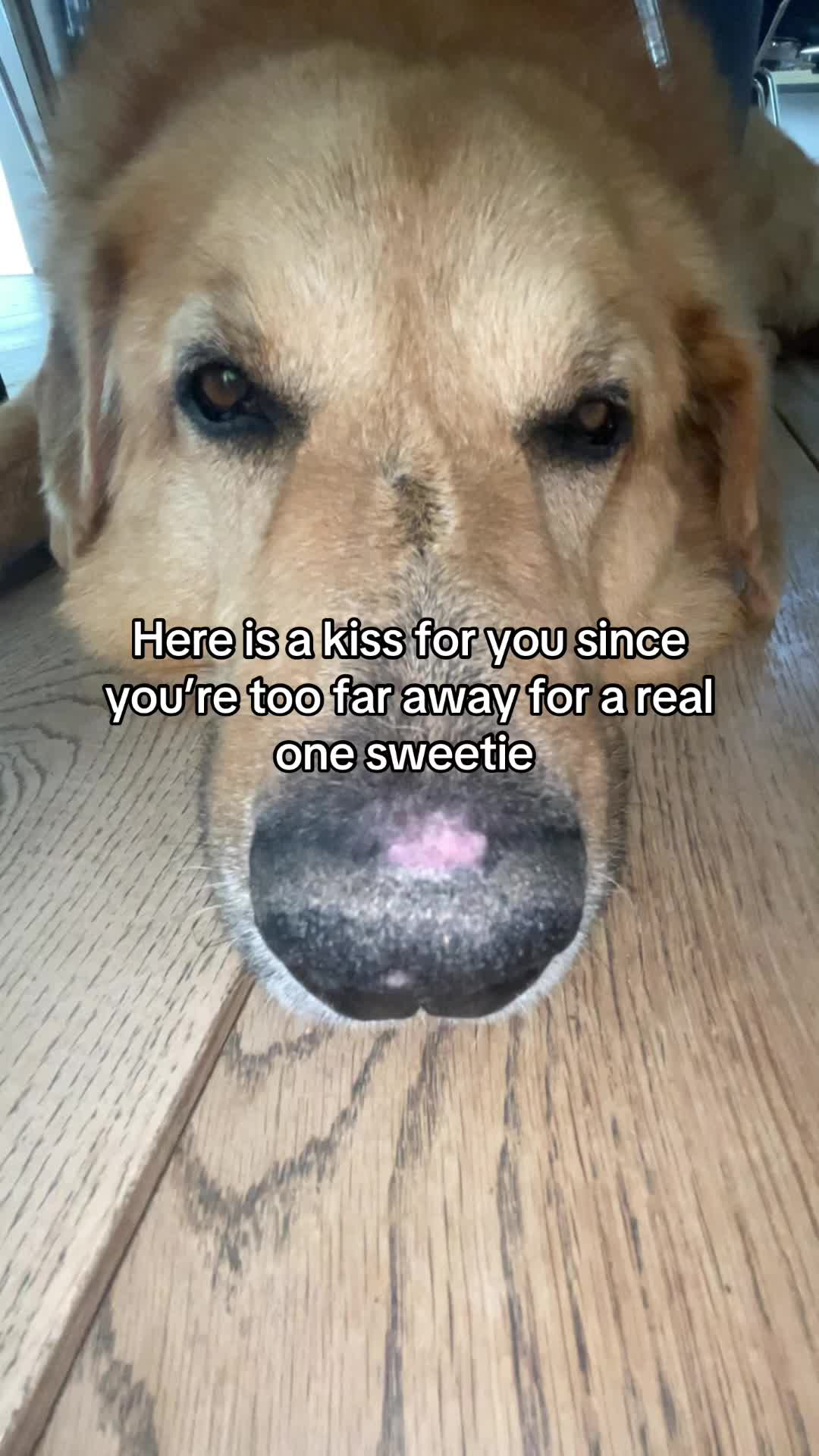@Neo