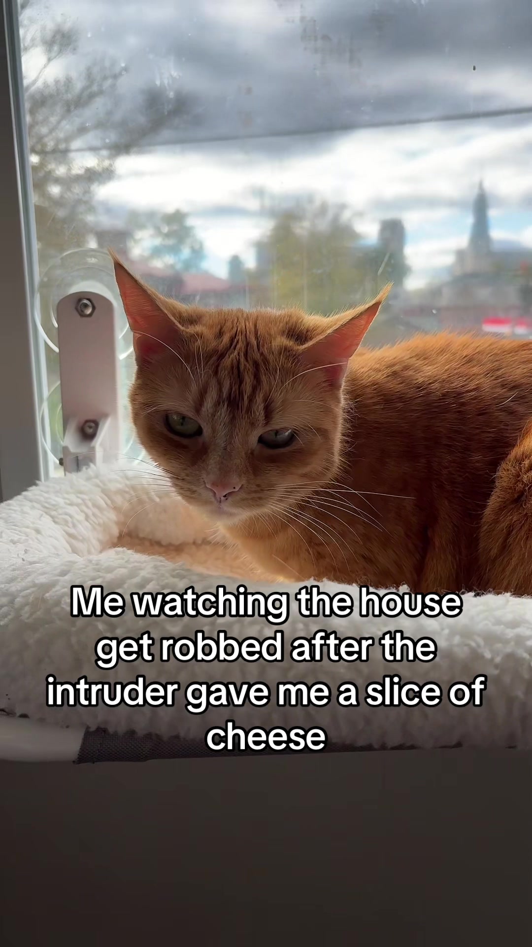 @Roxiemiauwmiauw