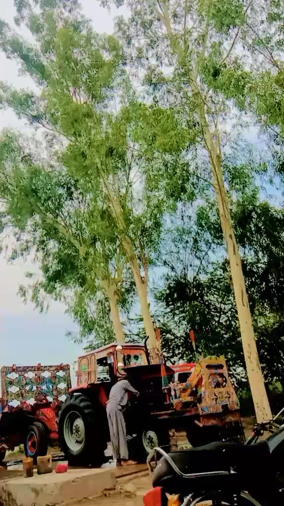 @😈استاد علی مانگوال آلہ 😈