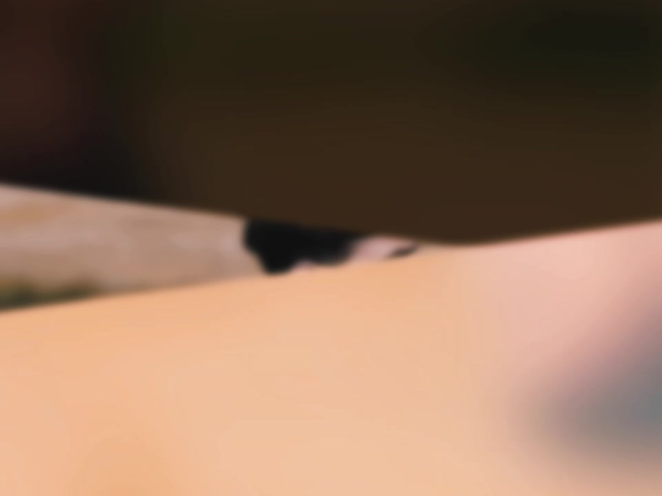 @➳ᴹᴿ᭄𝕬𝖙𝖙𝖎𝖙𝖚𝖉𝖊 𝕱𝖔𝖏𝖎