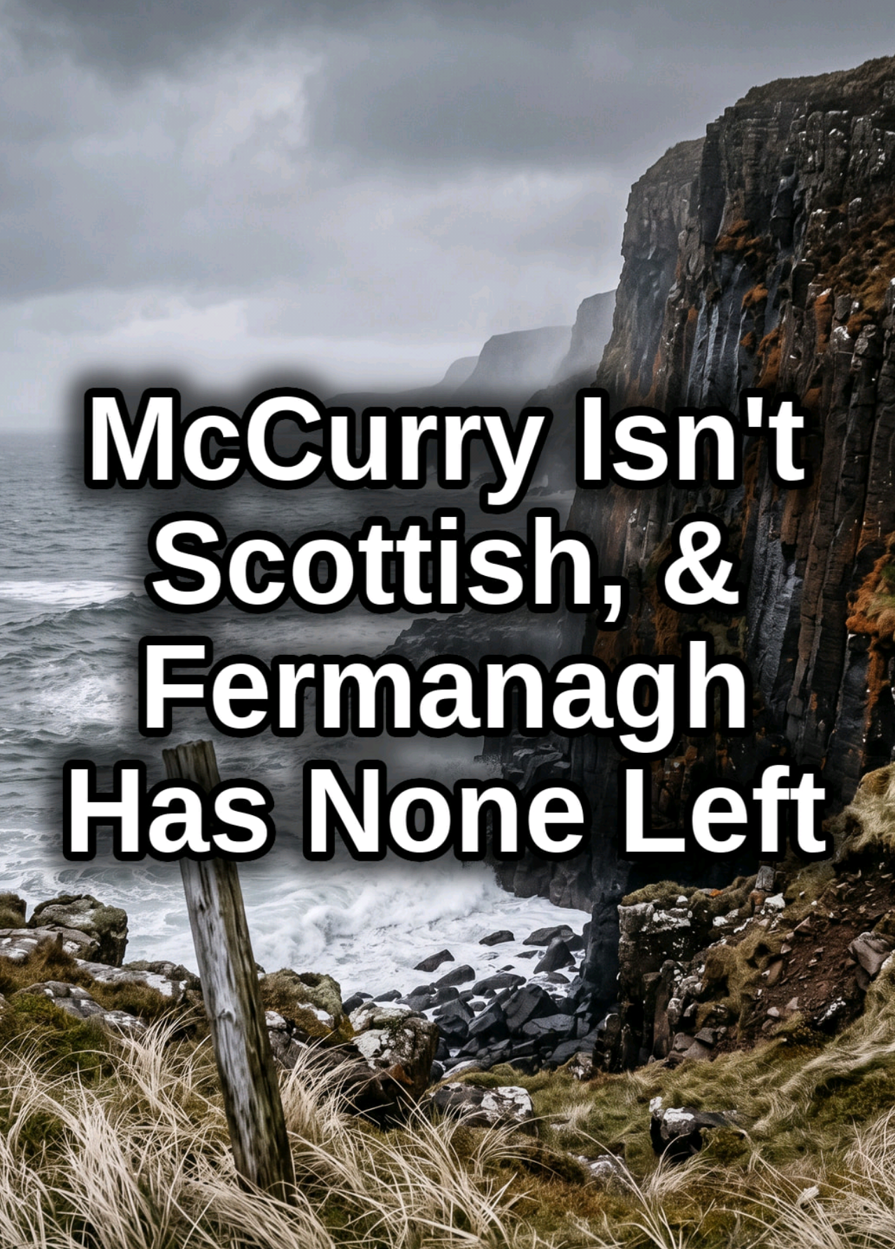 @irish.american.south