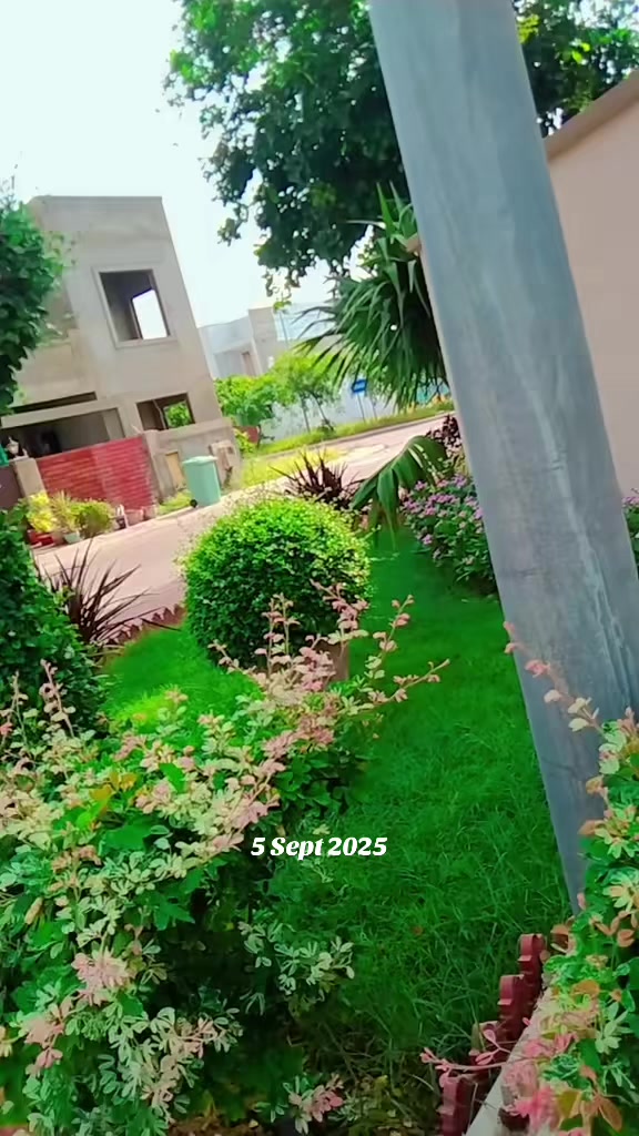 @🥷☠️Kashif🔥 باغی☠️333😈🥷