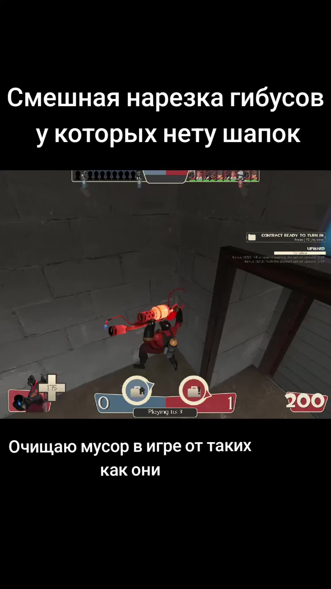 @лапушня