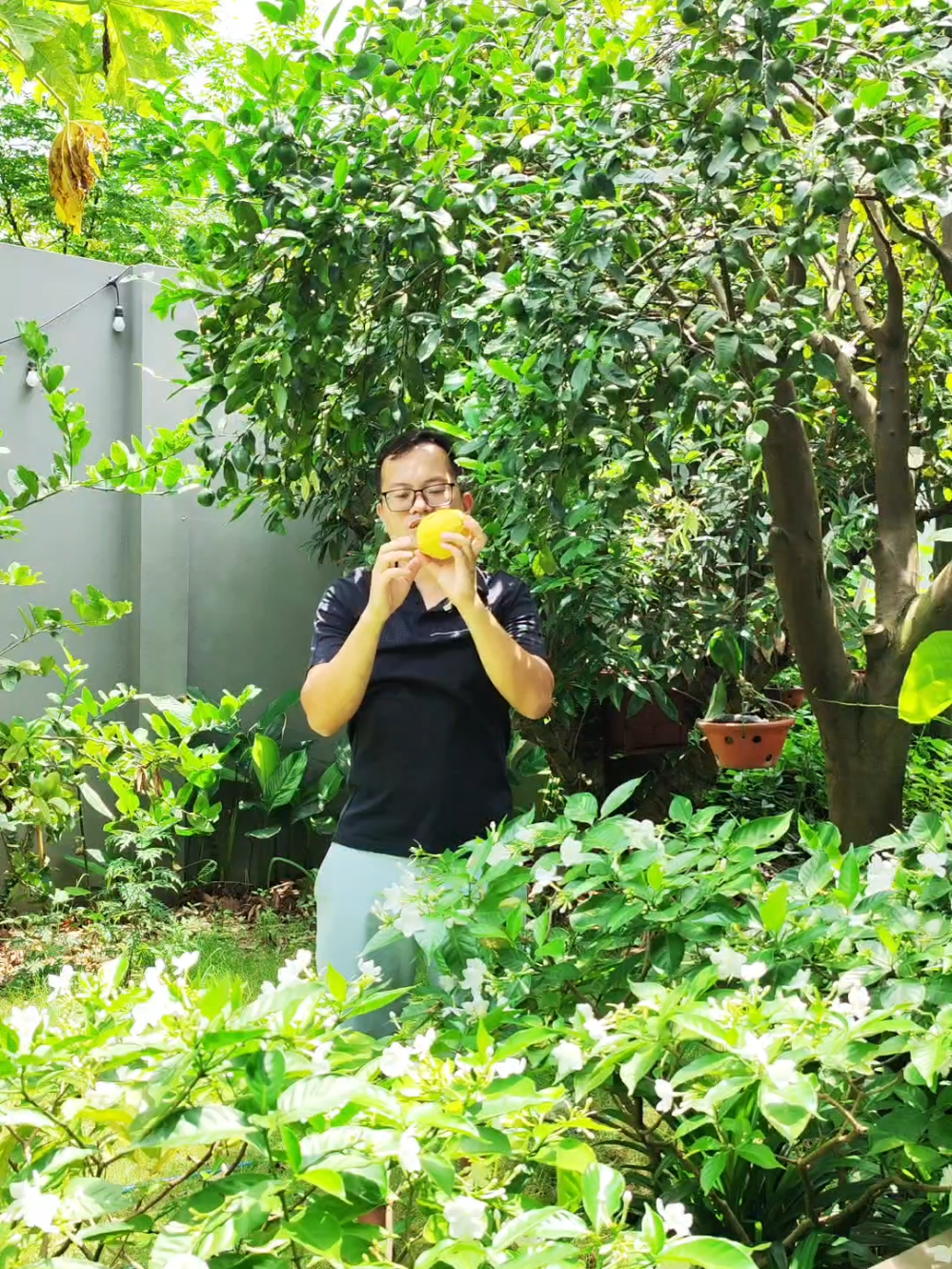 @Dược sĩ cỏ