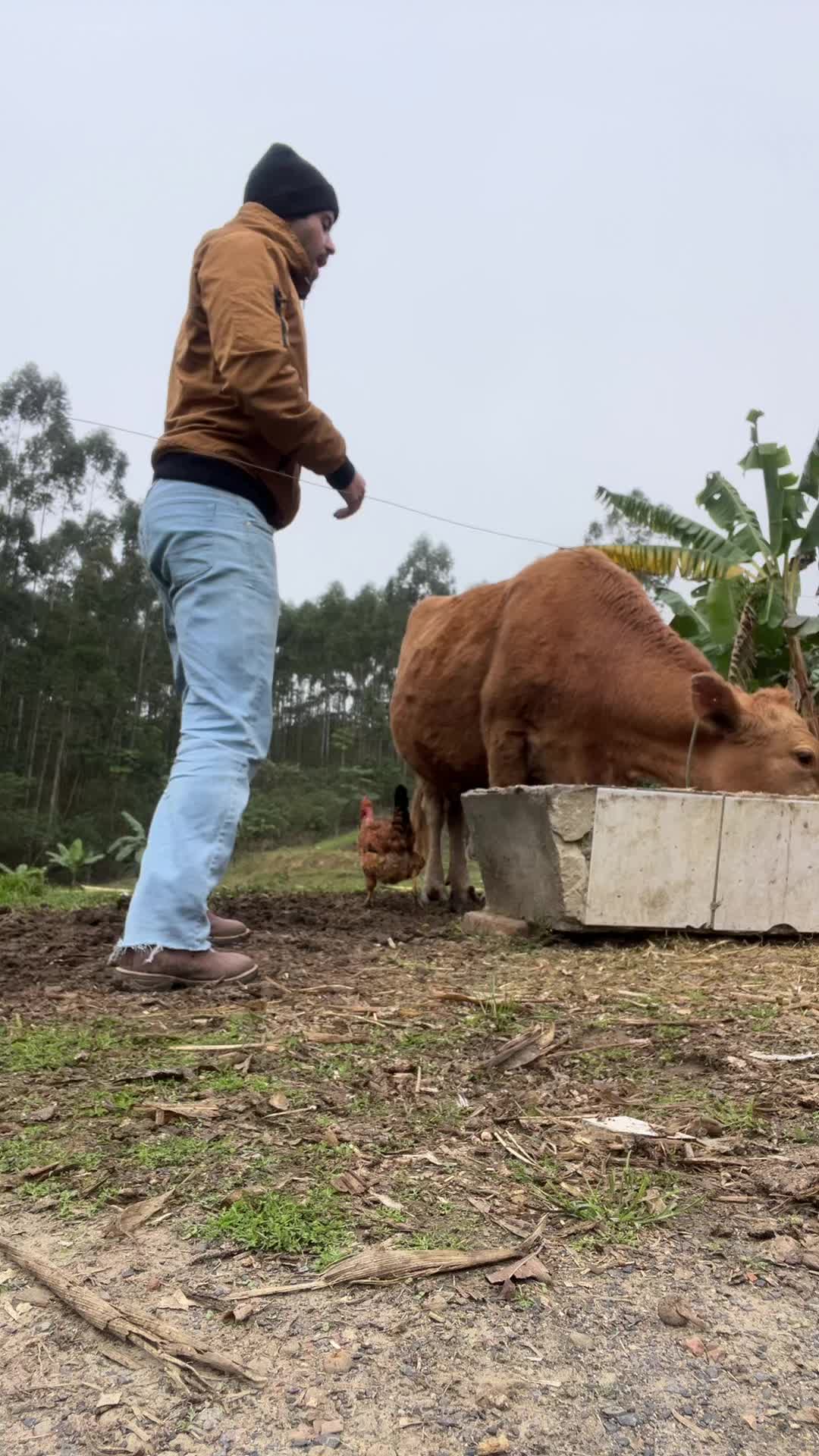 @Joab Salema 🤠