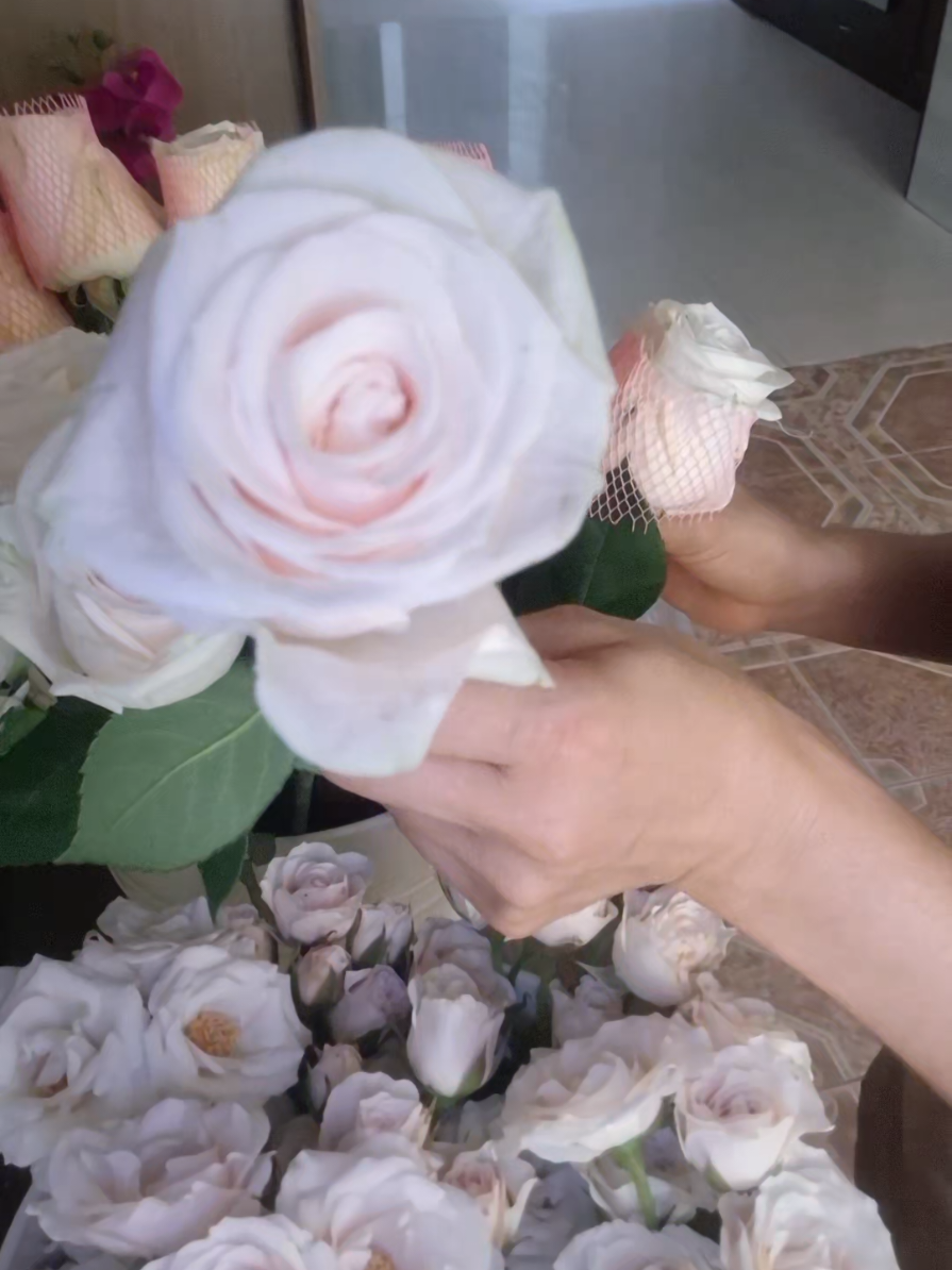 @~𝐀𝐫𝐞𝐧𝐚 Casa Floral