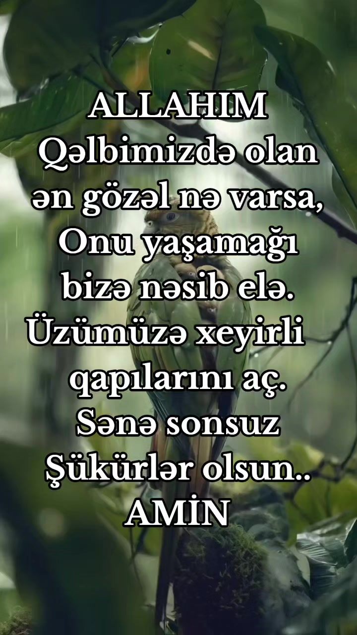 @DİNİM İSLAM
