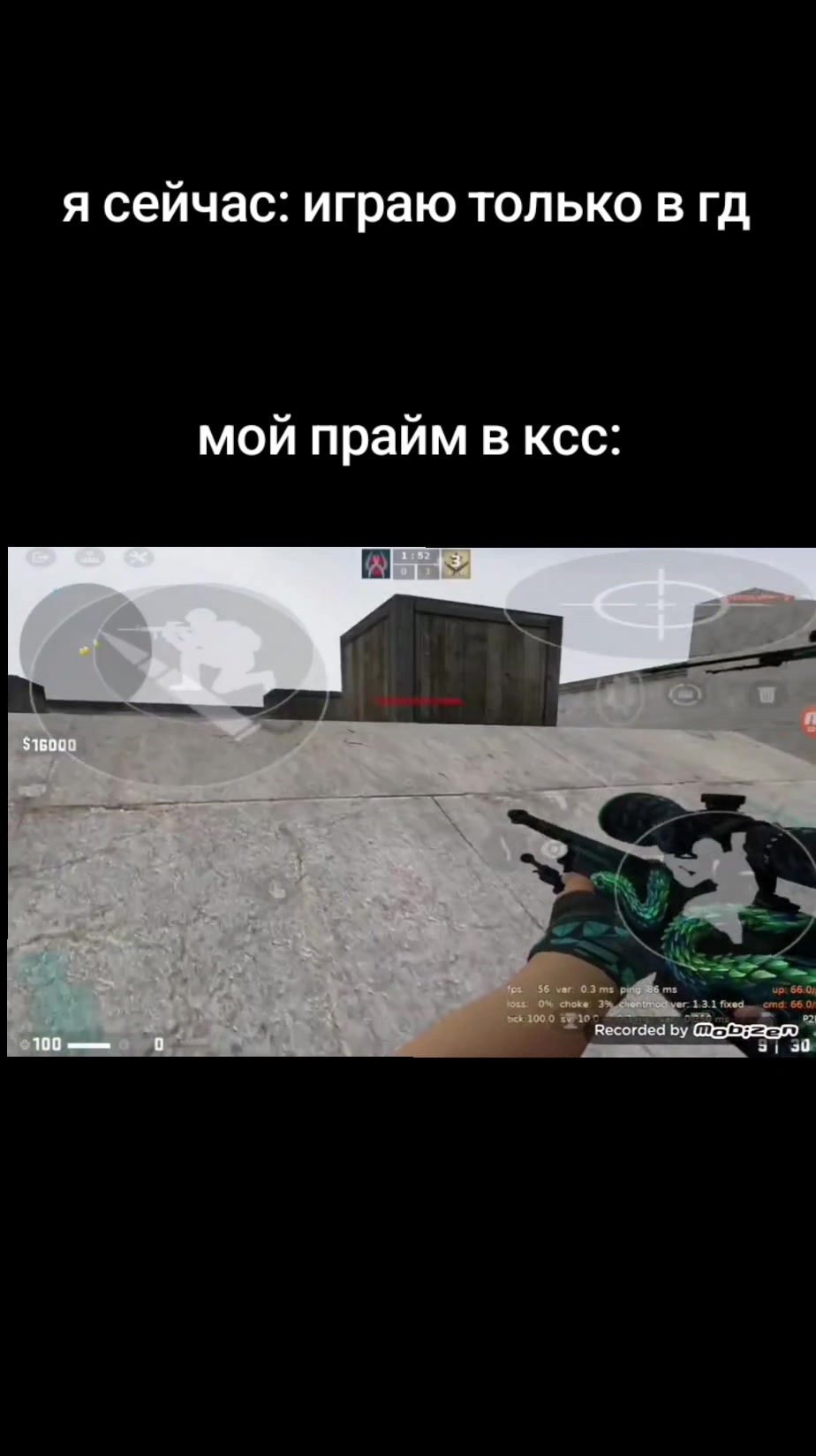 @стояковский