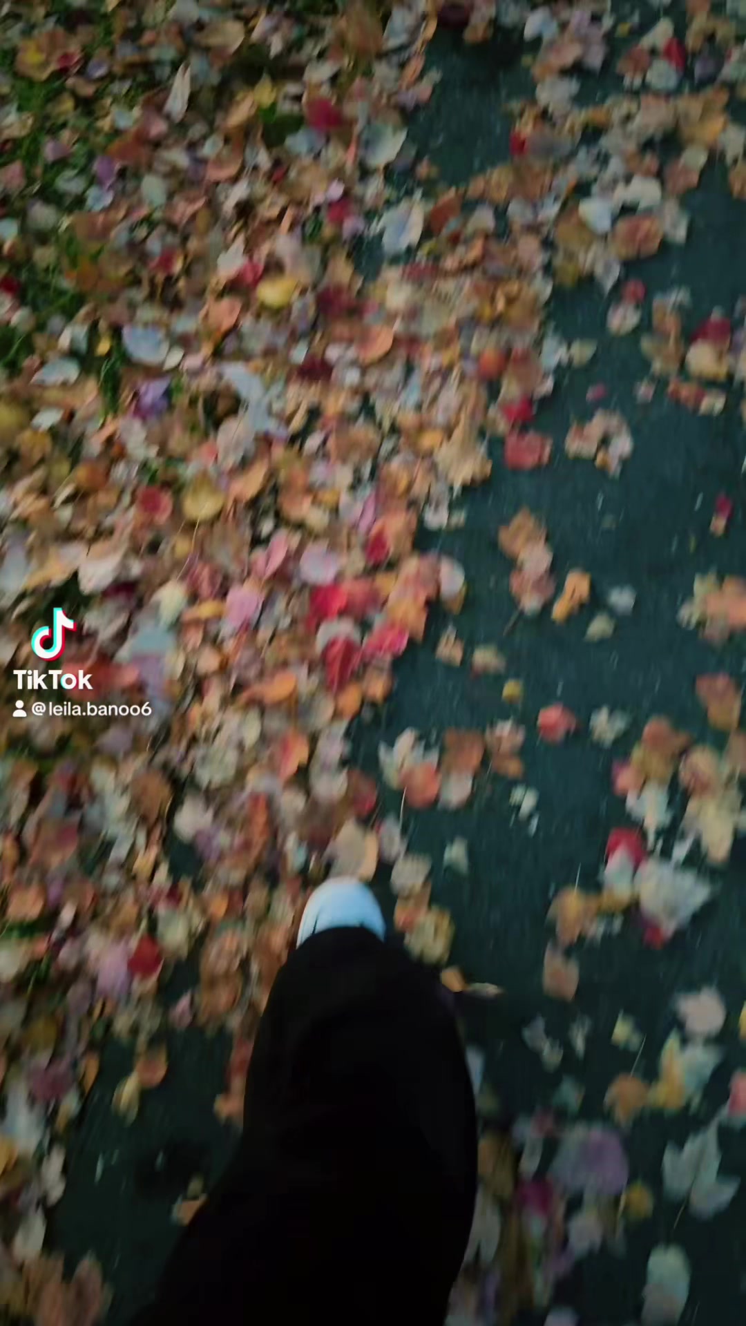 @leilabanoo12