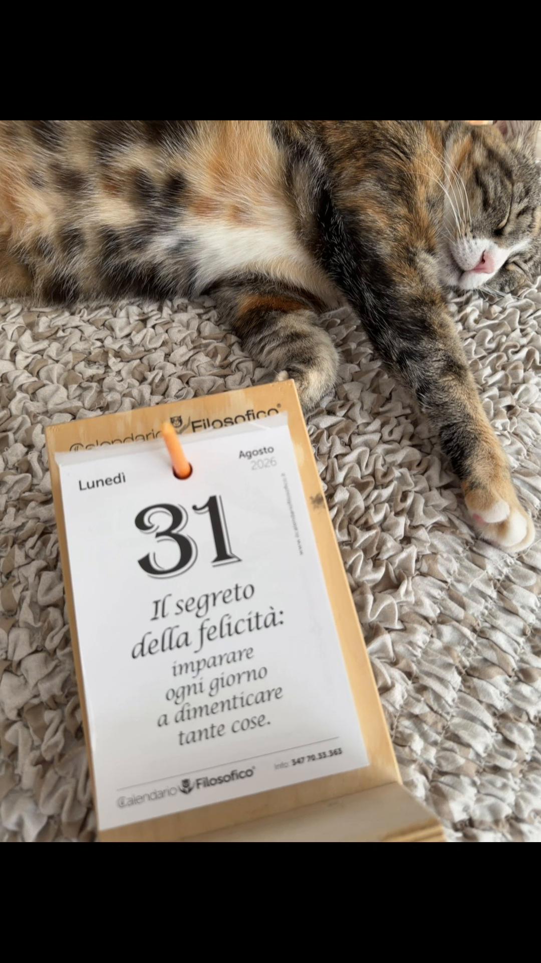 @Francesca Librandi