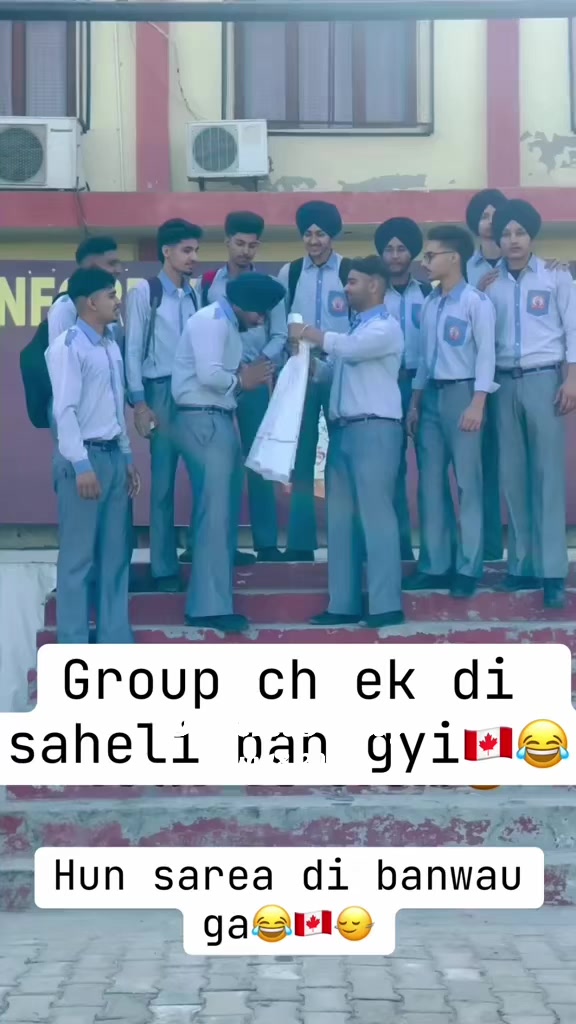 @vehlijanta761