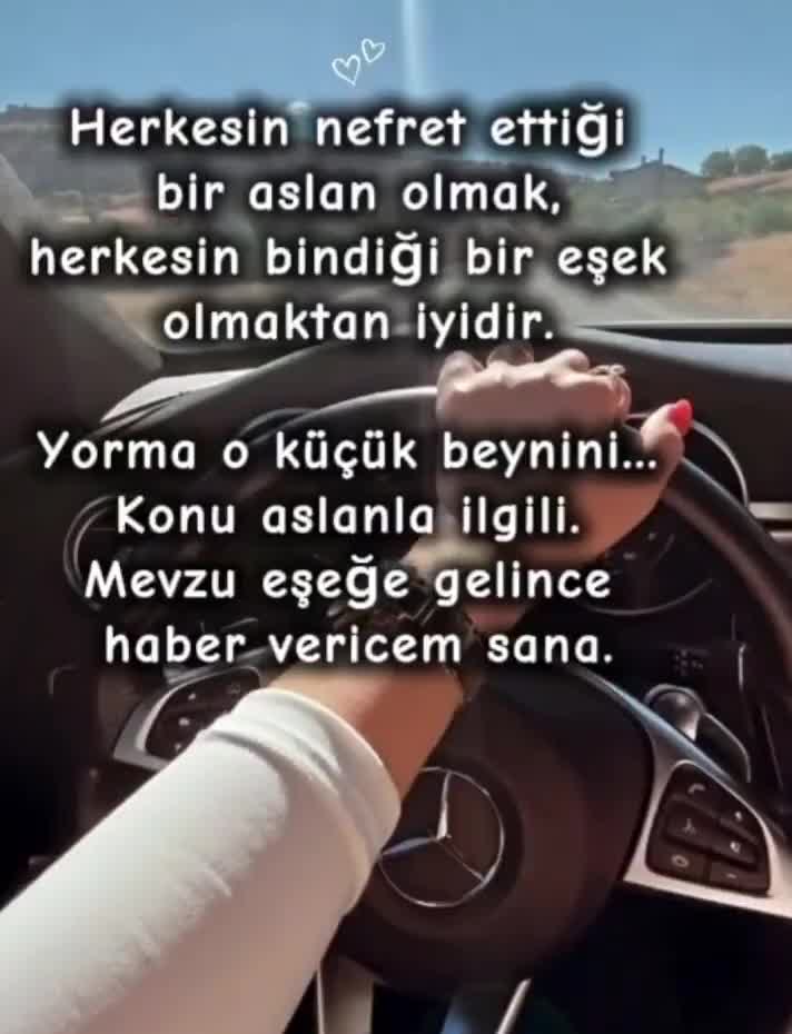 @güvercin🕊
