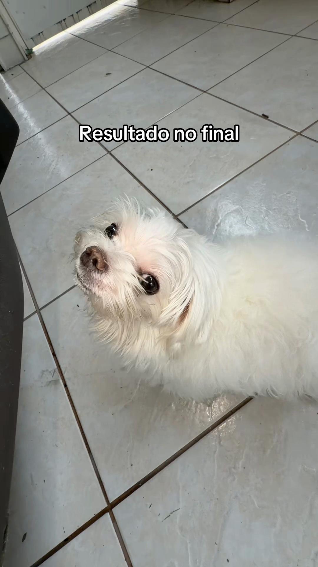 @Biluzinho