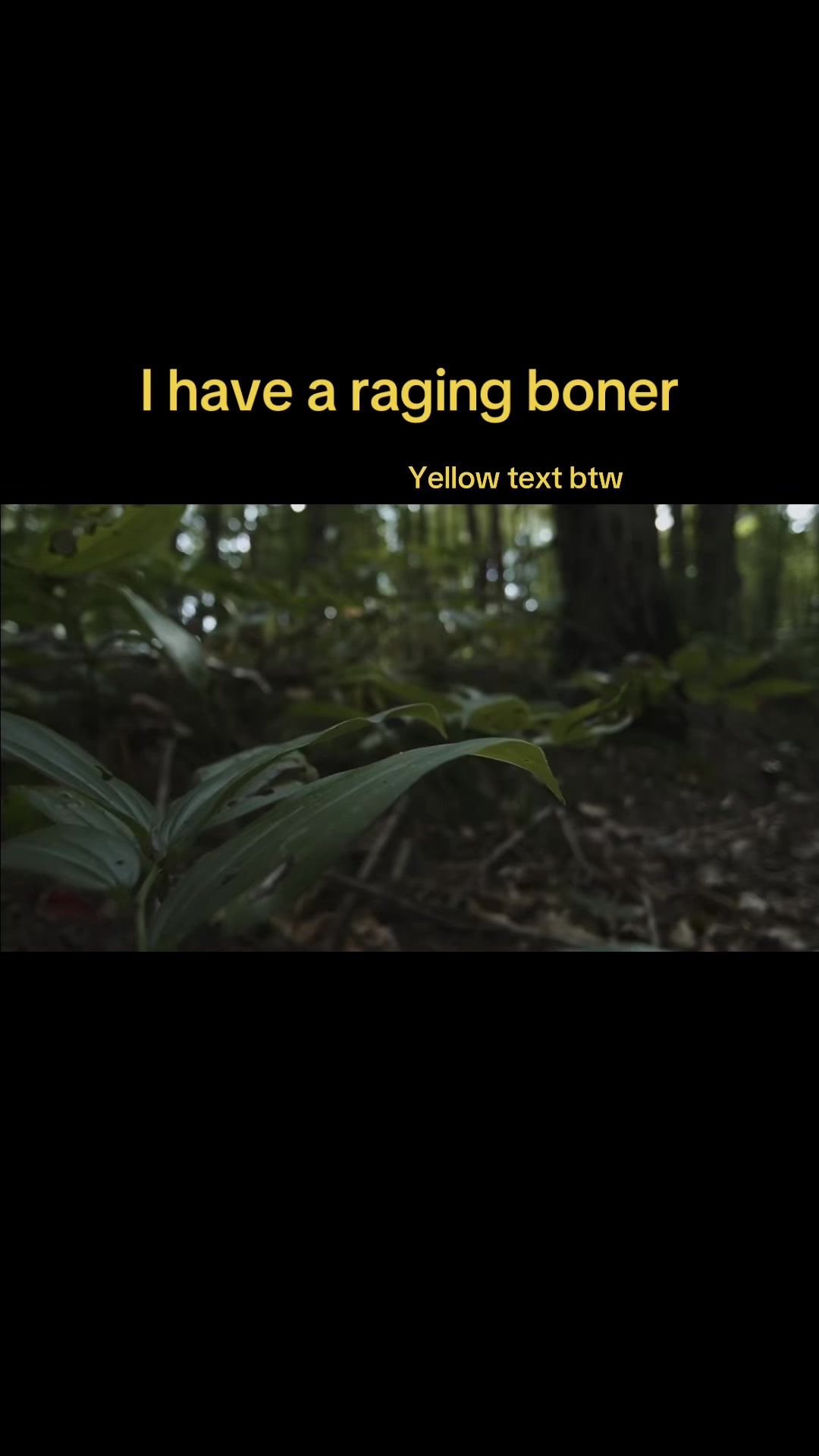 @Small3r