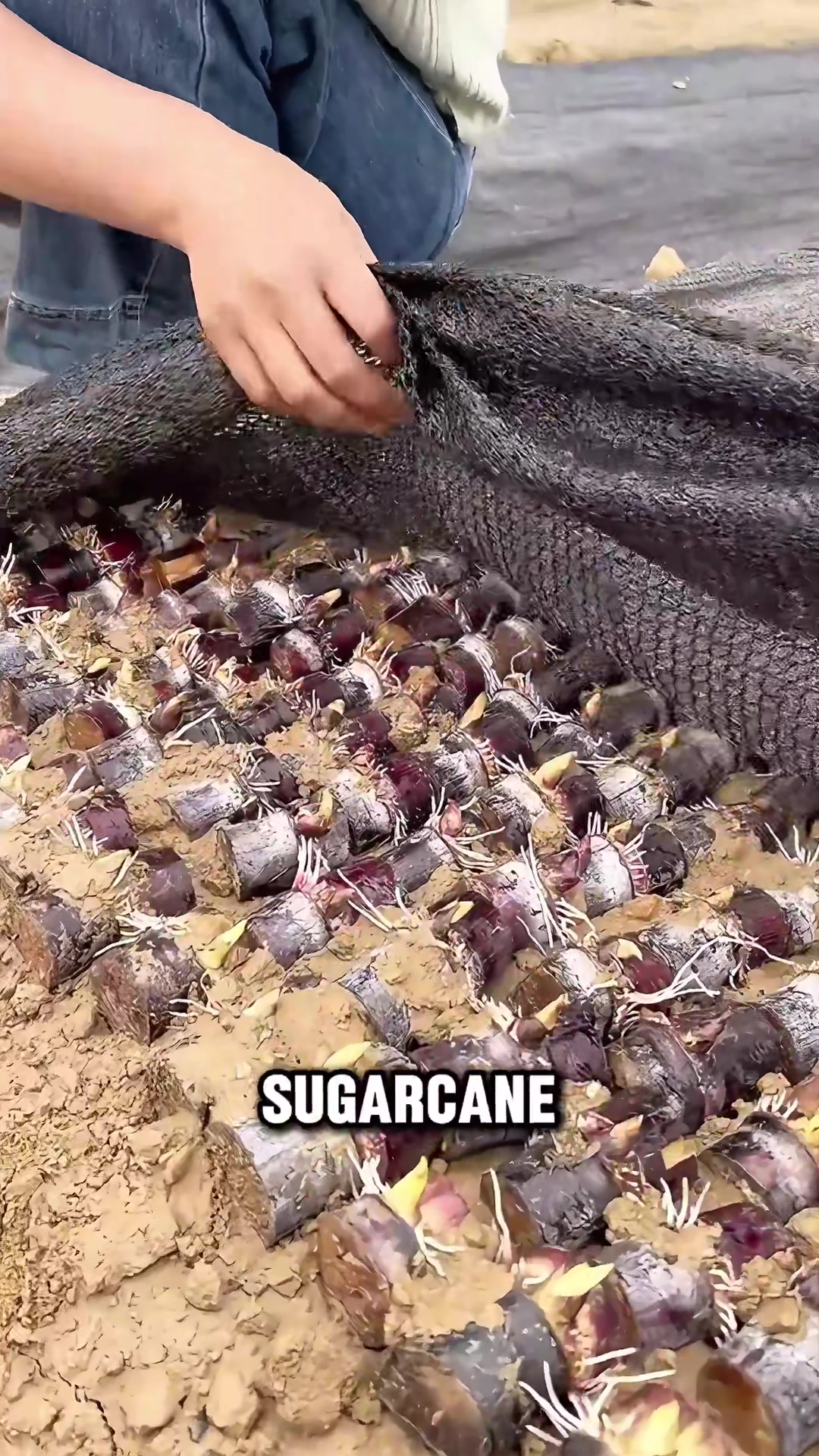 @militarybird