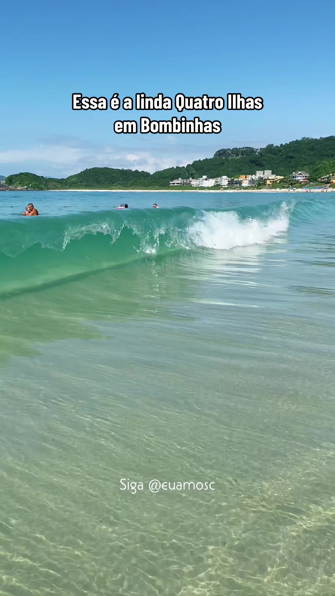 @EU AMO SC ❤️💚🫶
