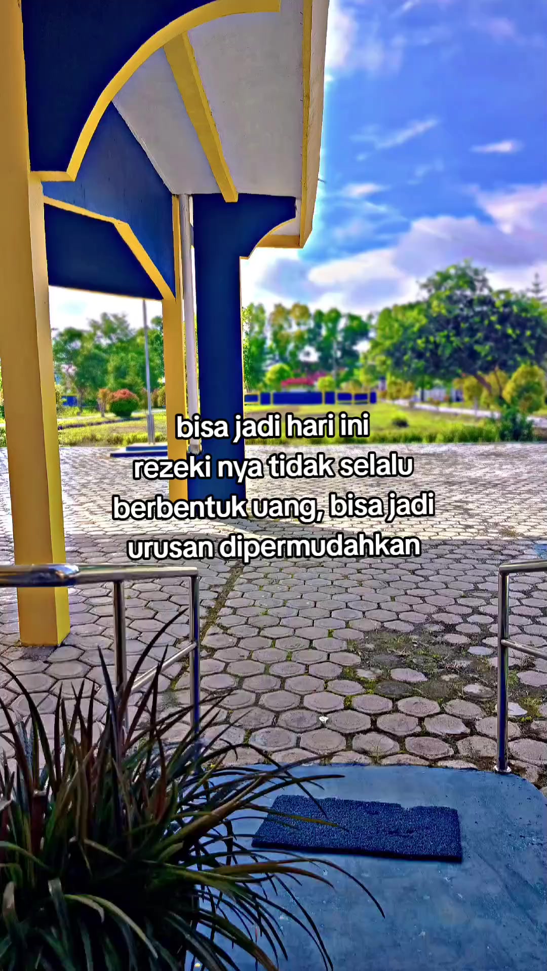 @dotzZe🇻🇳