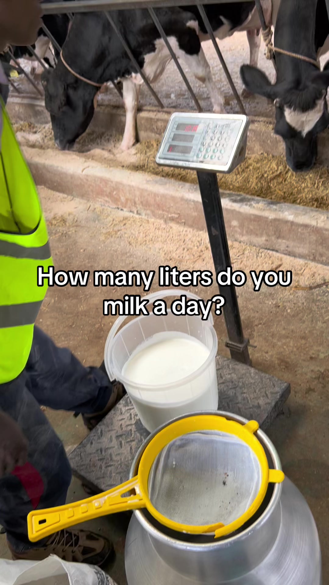 @Dairynetworks