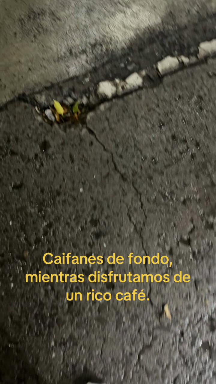 @Mirella Trejo