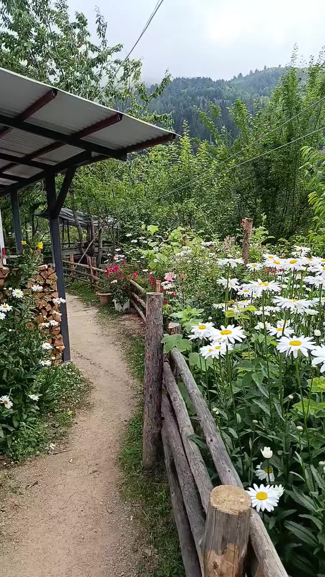 @&ouml;zg&uuml;r2121