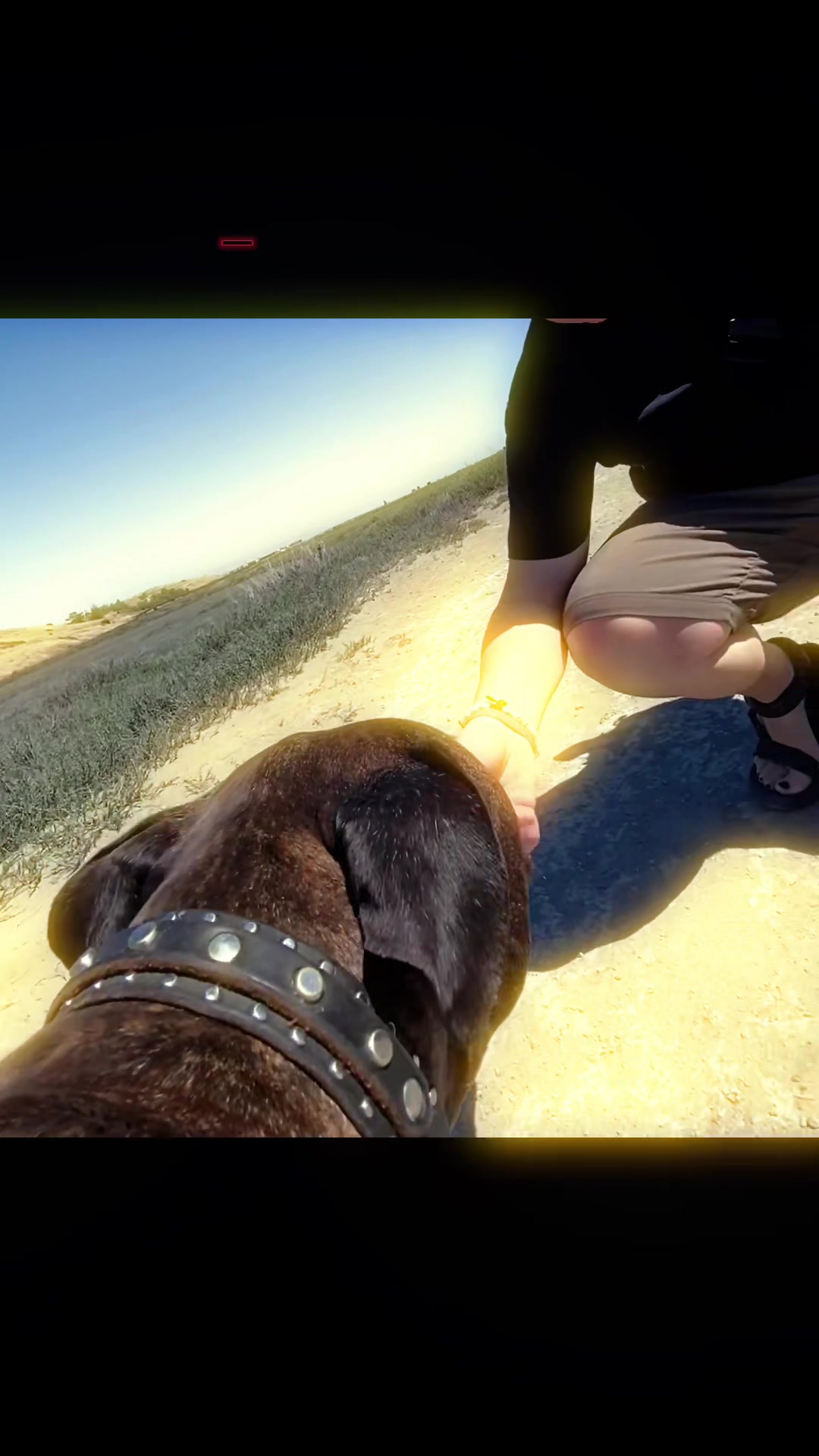 @AJ_n_roadie.rock.puppy