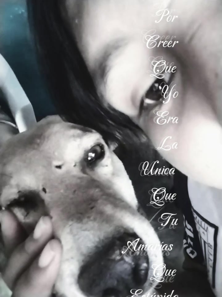 @❤️ TÓXICA 💙