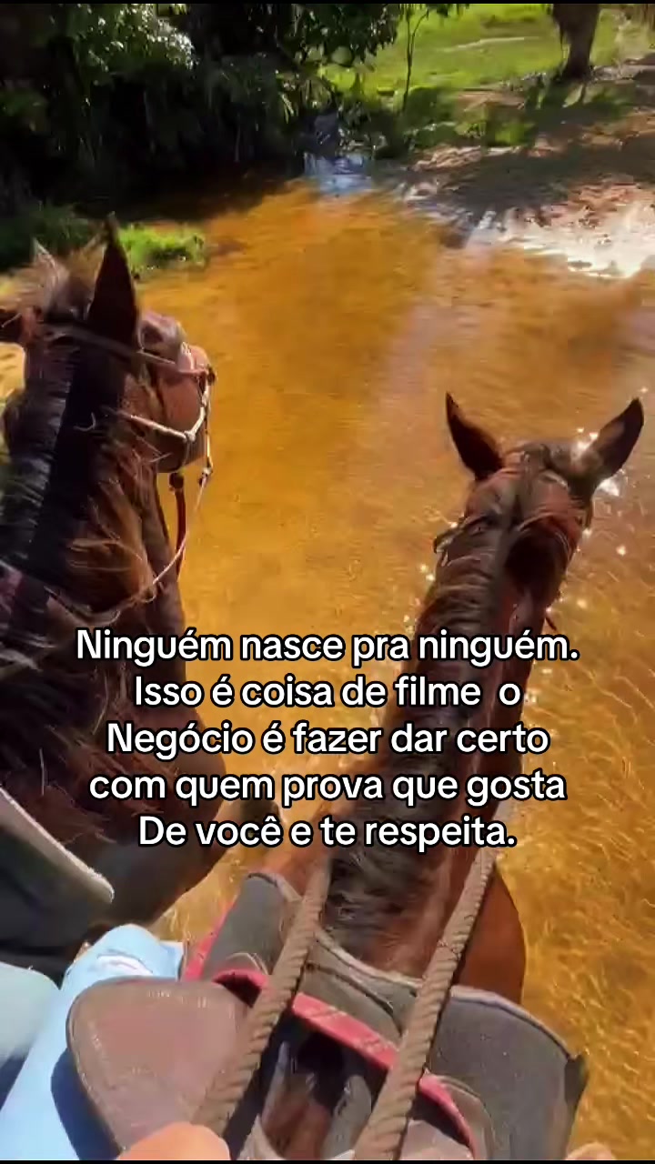 @lukasvieira_🍀