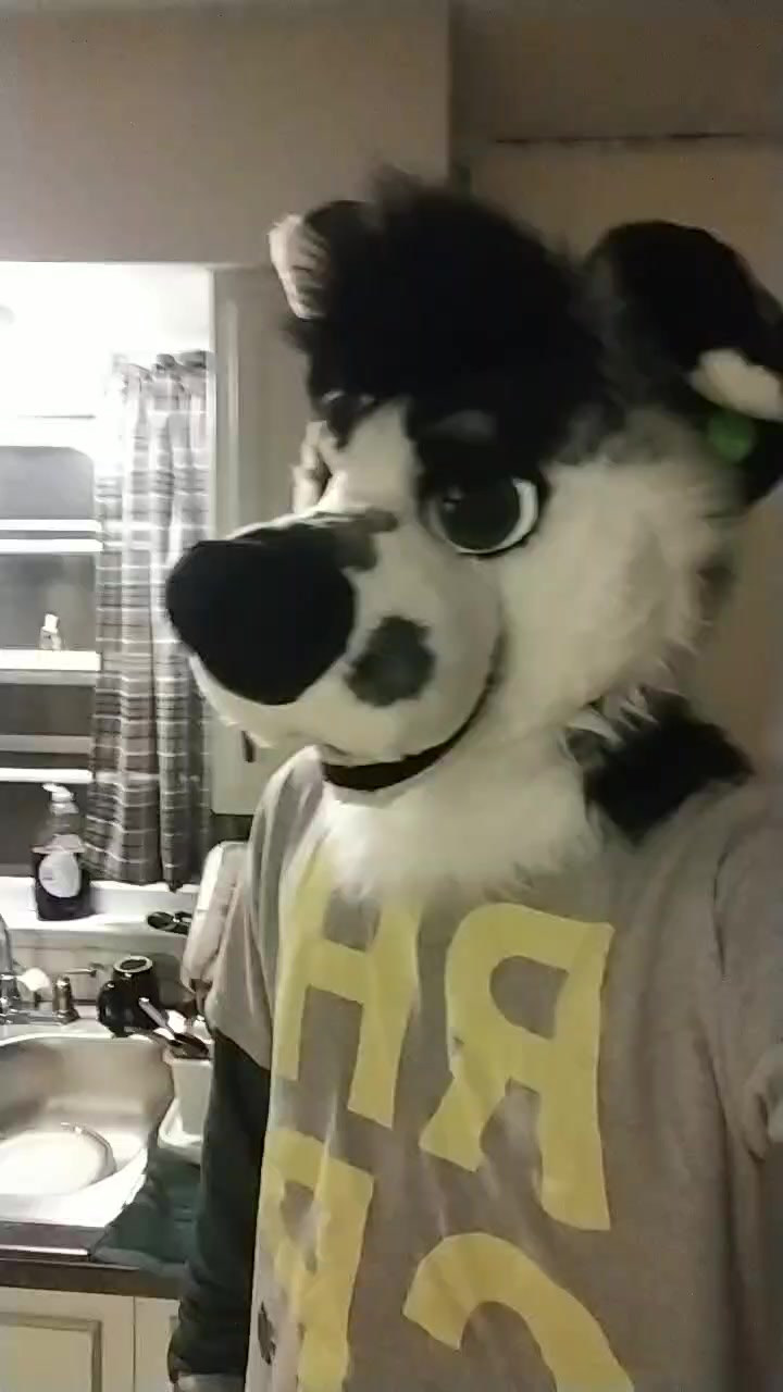 @Ryker_Mutt