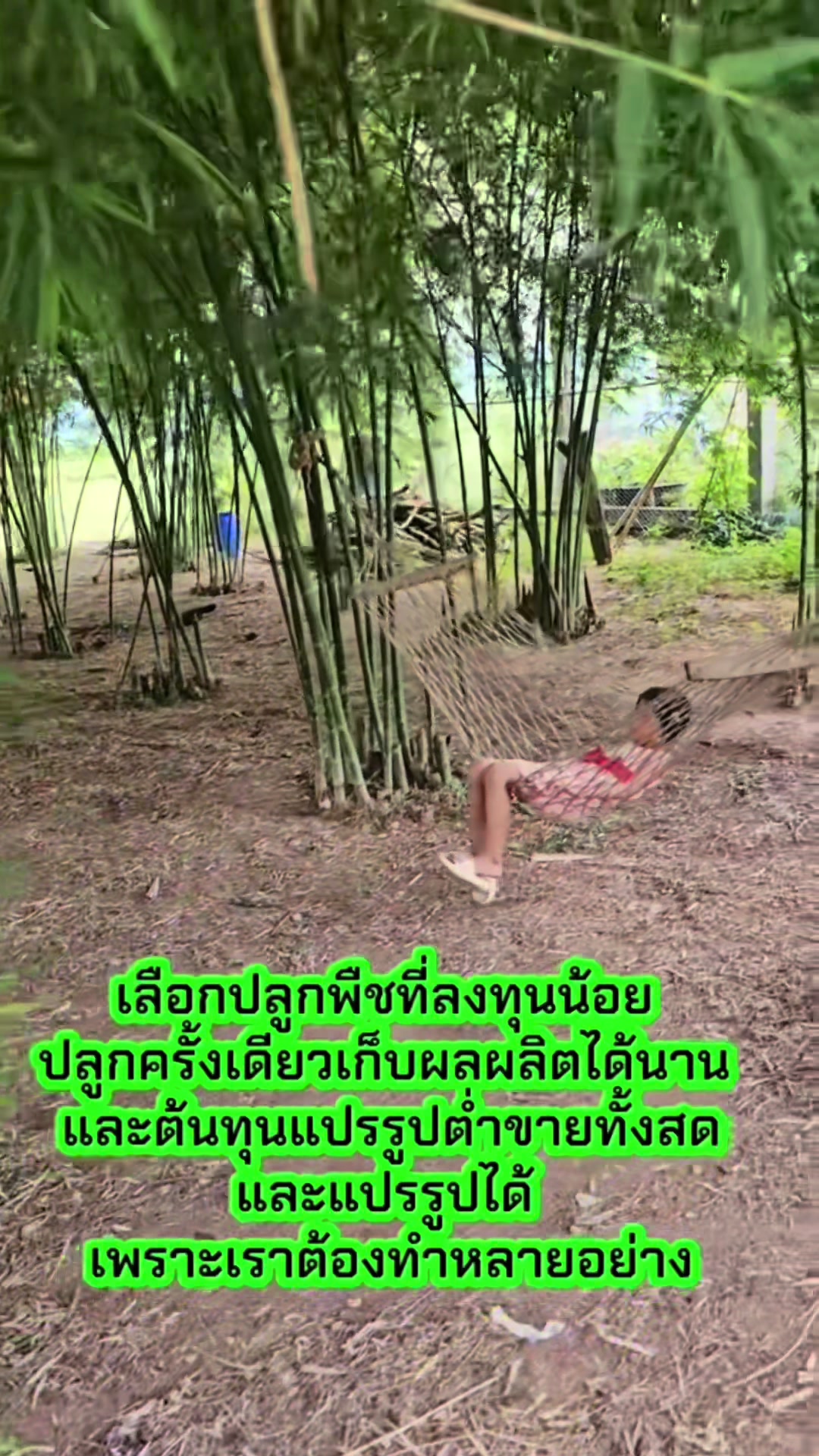 @นัดดาชอป