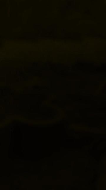 @Dns.project