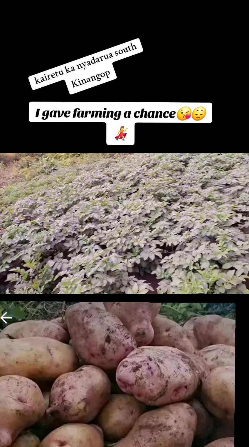 @Becky M