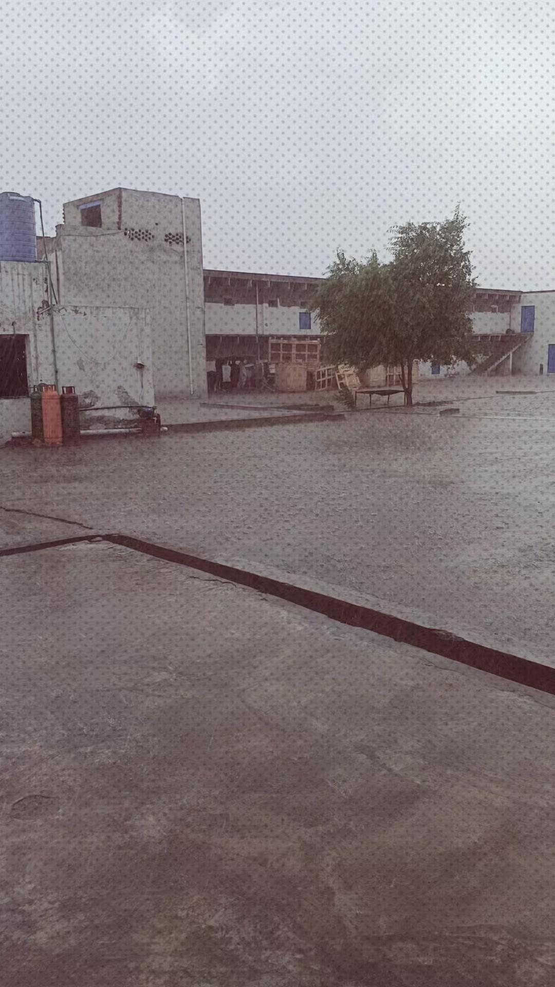 @𝘚𝘢𝘩𝘪𝘳_𝘎𝘪𝘭𝘭