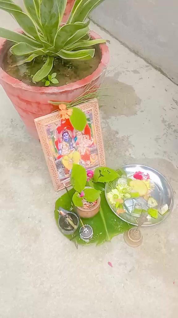 @Kajol singh 321