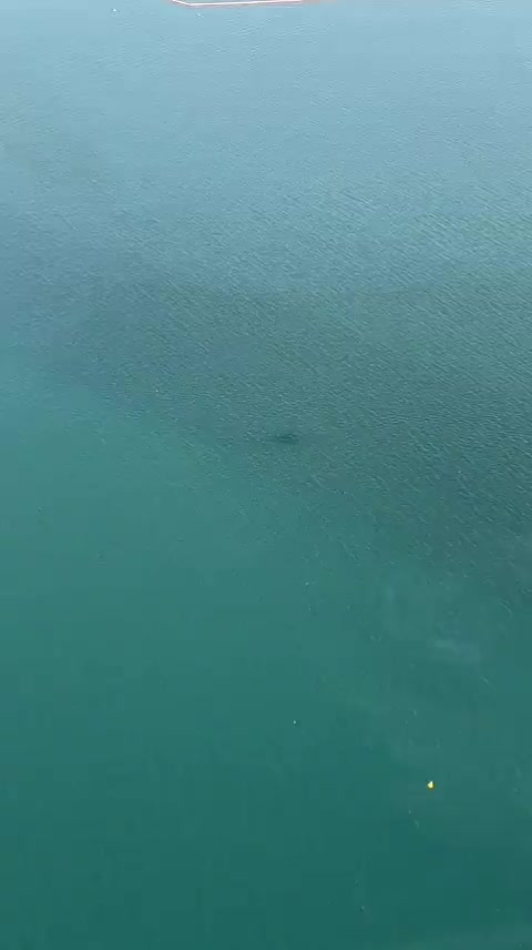 @RRR🇦🇪