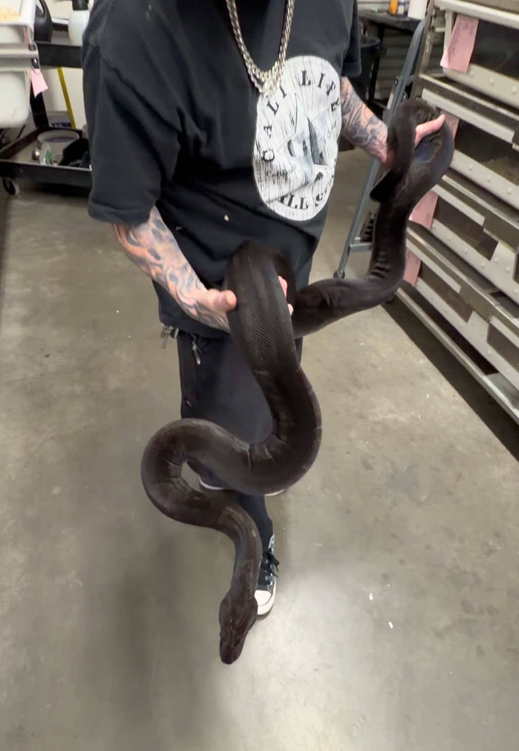@Snake Country