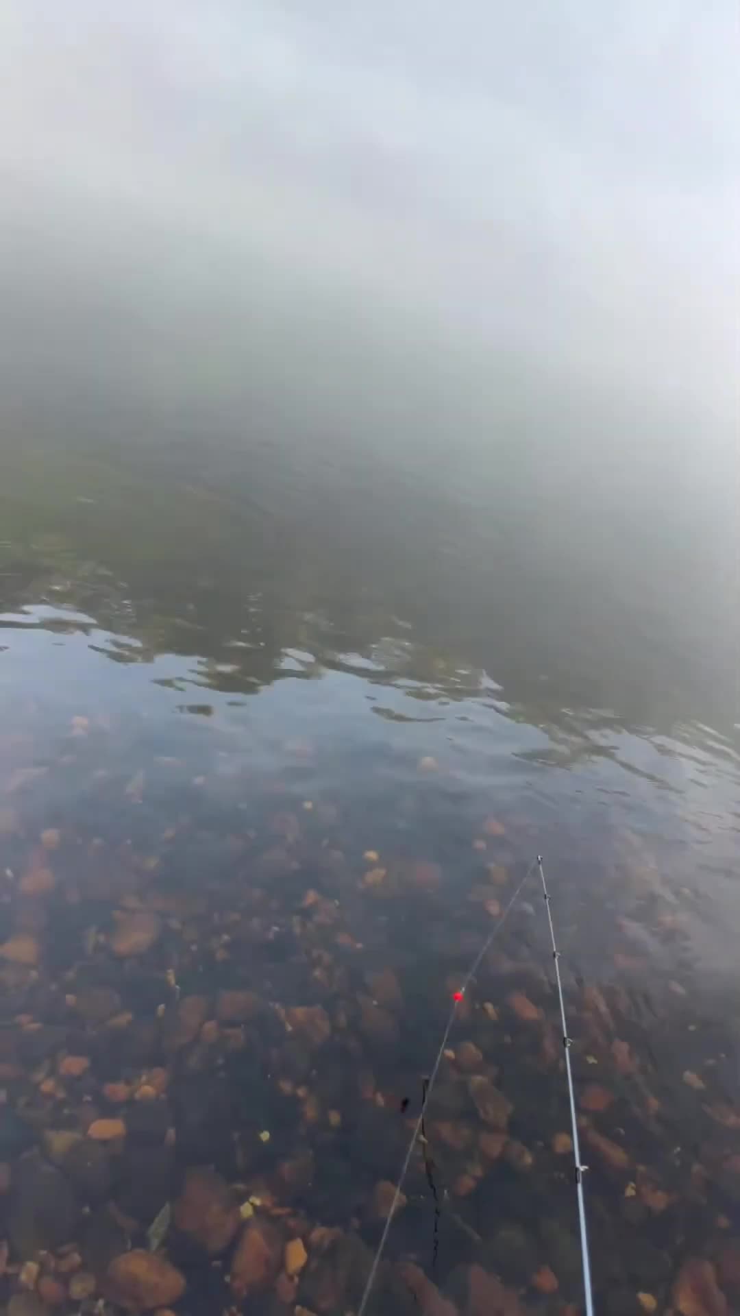 @LOVELACE 🎣