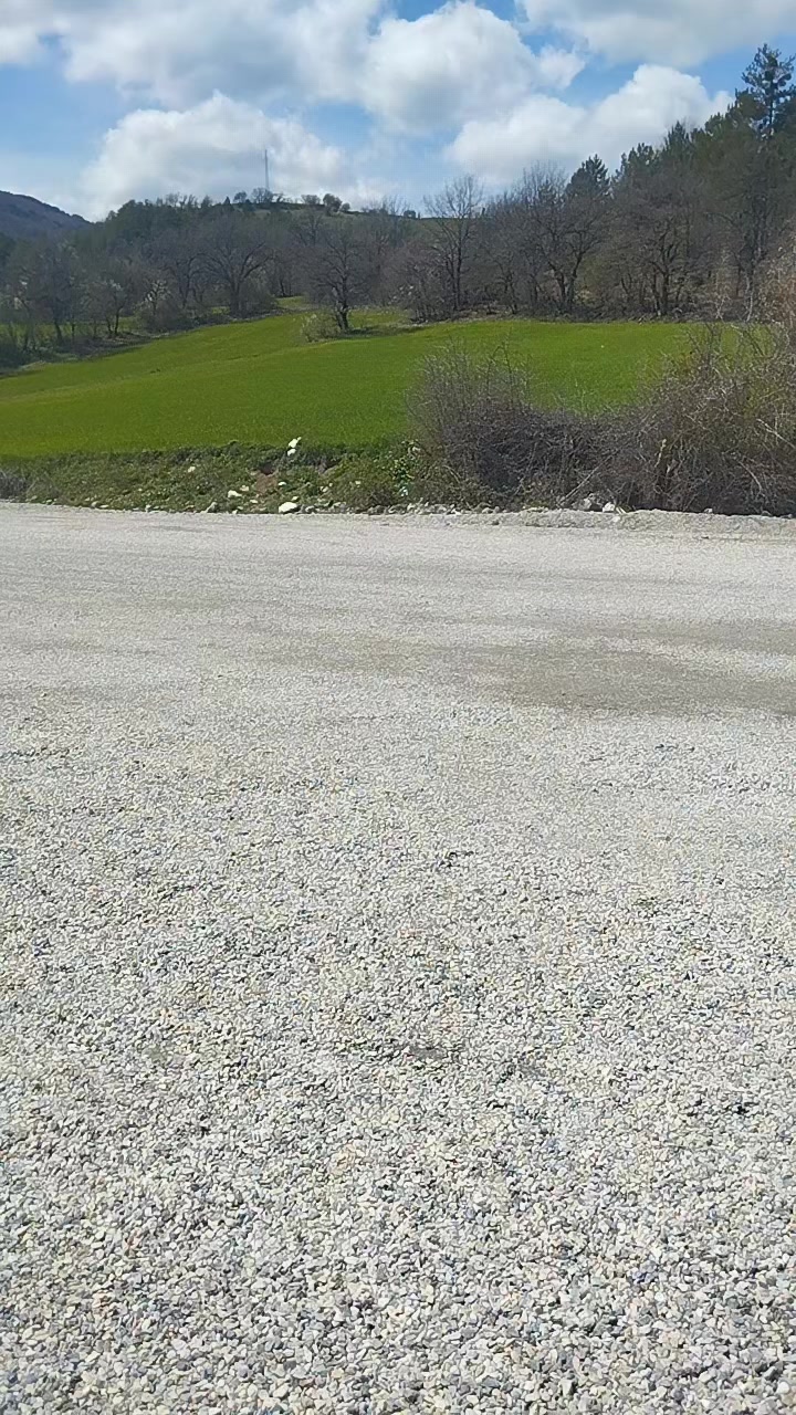 @Orhan Kaya